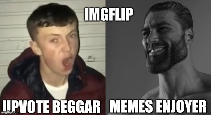 Imgflip | IMGFLIP; UPVOTE BEGGAR; MEMES ENJOYER | image tagged in average enjoyer meme,comunidade imgflip | made w/ Imgflip meme maker
