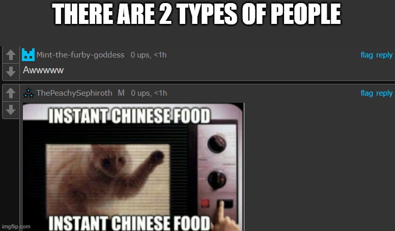 THERE ARE 2 TYPES OF PEOPLE | image tagged in shitpost | made w/ Imgflip meme maker