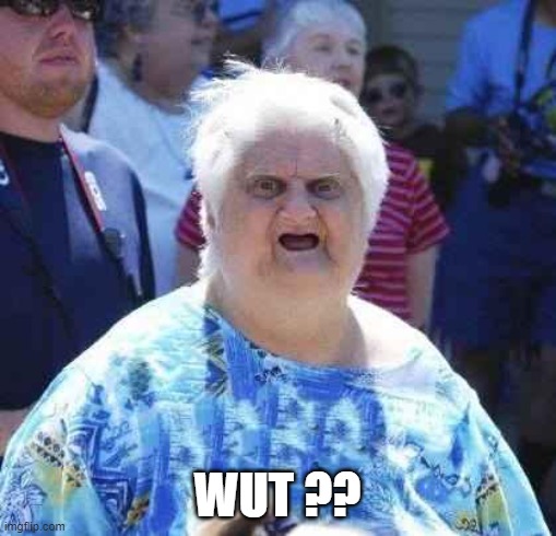wut | WUT ?? | image tagged in wut | made w/ Imgflip meme maker