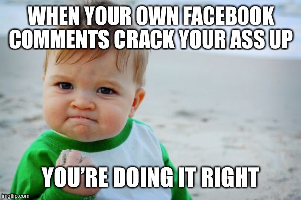 Funny self nature | WHEN YOUR OWN FACEBOOK COMMENTS CRACK YOUR ASS UP; YOU’RE DOING IT RIGHT | image tagged in memes,success kid original,facebook,hilarious | made w/ Imgflip meme maker