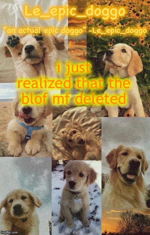Doggo temp by doggo. Wait what that’s confusing | i just realized that the blof mf deleted | image tagged in doggo temp by doggo wait what that s confusing | made w/ Imgflip meme maker