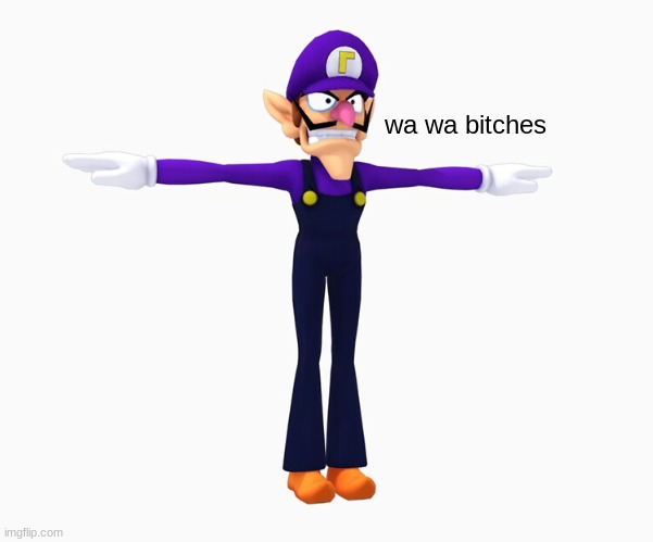 wa wa bitches | made w/ Imgflip meme maker