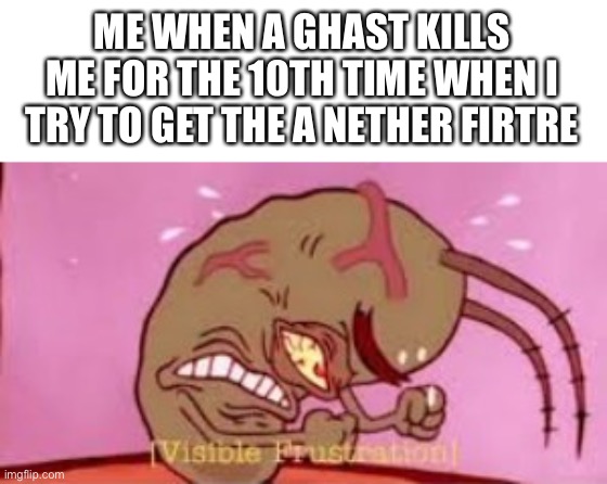 The nearest one is around a thousand blocks away | ME WHEN A GHAST KILLS ME FOR THE 10TH TIME WHEN I TRY TO GET THE A NETHER FORTRESS | image tagged in visible frustration | made w/ Imgflip meme maker