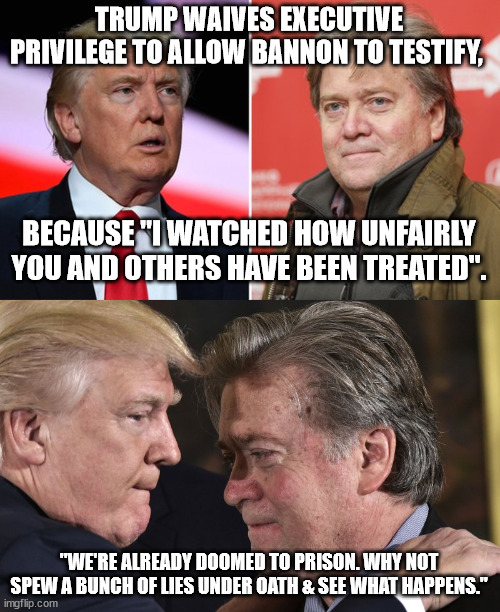 Who does donny think will fall for this? Oh yeah, his million magat mob. | TRUMP WAIVES EXECUTIVE PRIVILEGE TO ALLOW BANNON TO TESTIFY, BECAUSE "I WATCHED HOW UNFAIRLY YOU AND OTHERS HAVE BEEN TREATED". "WE'RE ALREADY DOOMED TO PRISON. WHY NOT SPEW A BUNCH OF LIES UNDER OATH & SEE WHAT HAPPENS." | image tagged in trump bannon,here come the lies | made w/ Imgflip meme maker