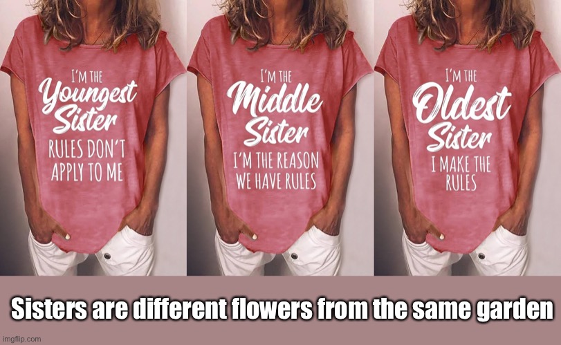 Sisters | Sisters are different flowers from the same garden | image tagged in sisters,different flowers,same garden,rules,fun | made w/ Imgflip meme maker