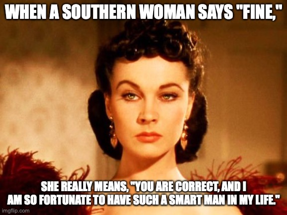 When a Southern woman says "Fine" | WHEN A SOUTHERN WOMAN SAYS "FINE,"; SHE REALLY MEANS, "YOU ARE CORRECT, AND I AM SO FORTUNATE TO HAVE SUCH A SMART MAN IN MY LIFE." | image tagged in scarlett o'hara look,southern | made w/ Imgflip meme maker