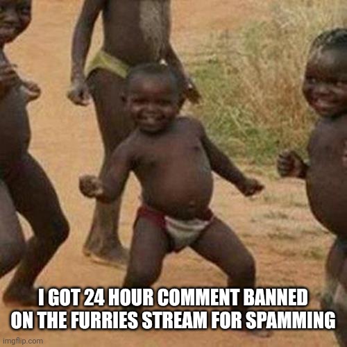 Third World Success Kid Meme | I GOT 24 HOUR COMMENT BANNED ON THE FURRIES STREAM FOR SPAMMING | image tagged in memes,third world success kid | made w/ Imgflip meme maker