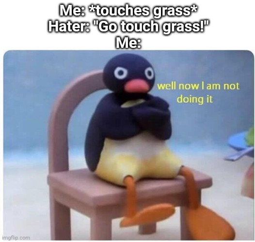 Well Now I'm not Doing it | Me: *touches grass*
Hater: "Go touch grass!"
Me: | image tagged in well now i'm not doing it | made w/ Imgflip meme maker