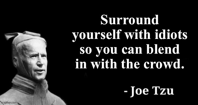 Mission Accomplished! | Surround yourself with idiots so you can blend in with the crowd. | image tagged in joe tzu,joe biden | made w/ Imgflip meme maker