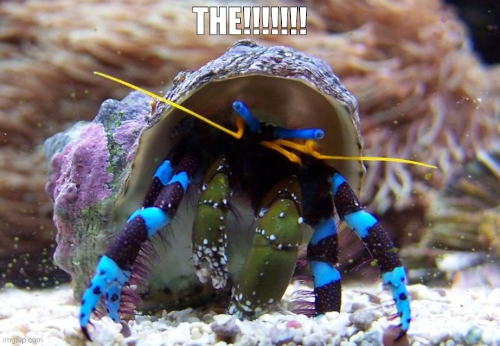 THE!!!!!!! | made w/ Imgflip meme maker