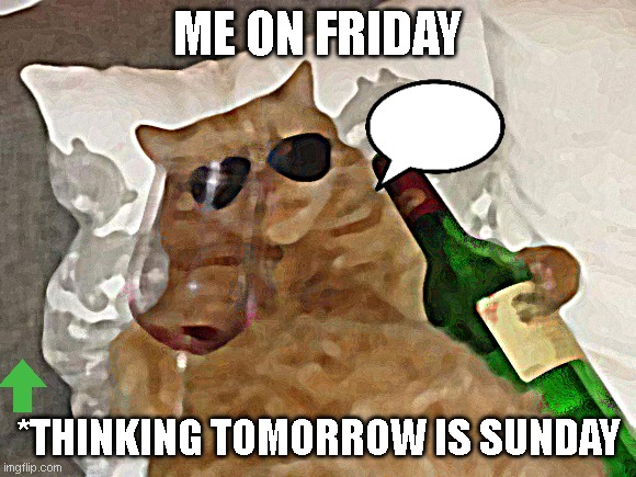 #vibincat | ME ON FRIDAY; *THINKING TOMORROW IS SUNDAY | image tagged in funny cat birthday | made w/ Imgflip meme maker