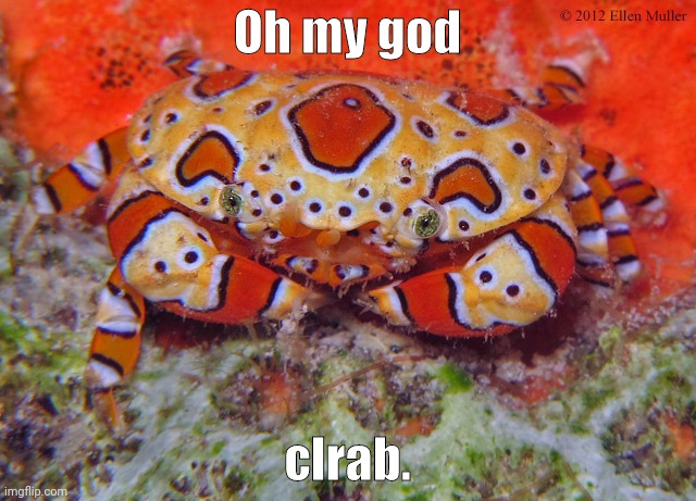 Oh my god; clrab. | made w/ Imgflip meme maker