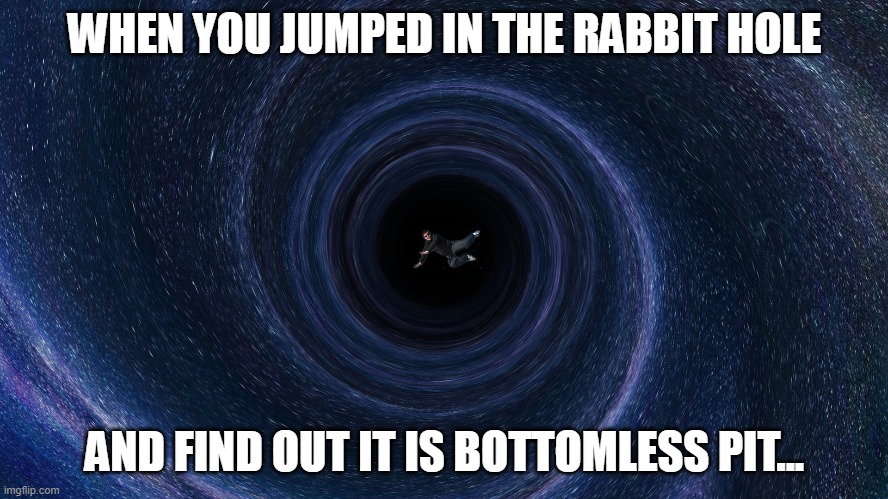Rabbit hole | WHEN YOU JUMPED IN THE RABBIT HOLE; AND FIND OUT IT IS BOTTOMLESS PIT... | image tagged in alice in wonderland | made w/ Imgflip meme maker
