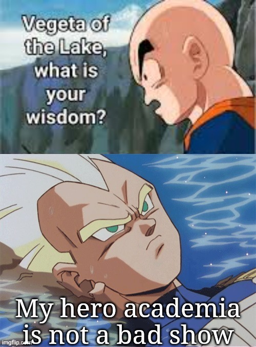 Vegeta of the lake what is your wisdom | My hero academia is not a bad show | image tagged in vegeta of the lake what is your wisdom | made w/ Imgflip meme maker