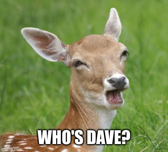 Go Home Bambi, You're Drunk | WHO'S DAVE? | image tagged in go home bambi you're drunk | made w/ Imgflip meme maker