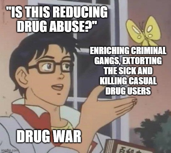 DRUG WAR BUTTERFLY | "IS THIS REDUCING
DRUG ABUSE?"; ENRICHING CRIMINAL
GANGS, EXTORTING
THE SICK AND
KILLING CASUAL
DRUG USERS; DRUG WAR | image tagged in drugs,war on drugs,guns,gun laws,crime,big pharma | made w/ Imgflip meme maker