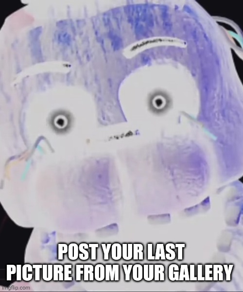POST YOUR LAST PICTURE FROM YOUR GALLERY | made w/ Imgflip meme maker
