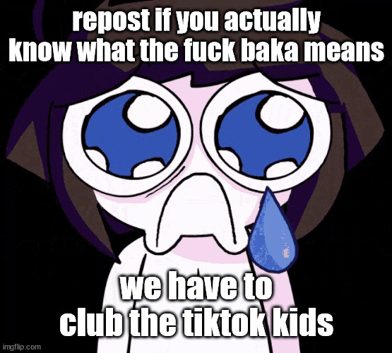 IT MEANS FOOL, NOT DADDY OR WHATEVER | repost if you actually know what the fuck baka means; we have to club the tiktok kids | image tagged in crying human | made w/ Imgflip meme maker