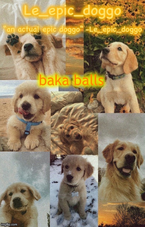 Doggo temp by doggo. Wait what that’s confusing | baka balls | image tagged in doggo temp by doggo wait what that s confusing | made w/ Imgflip meme maker