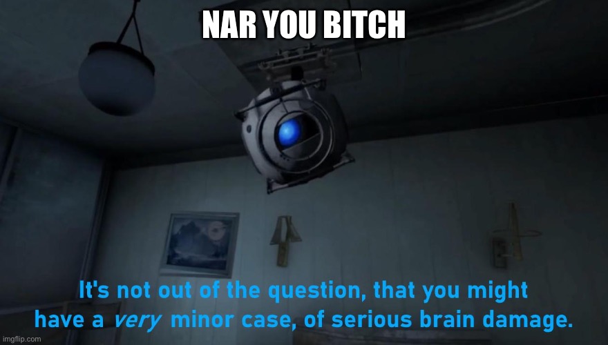 i luv ballsack | NAR YOU BITCH | image tagged in wheatley minor case of serious brain damage | made w/ Imgflip meme maker