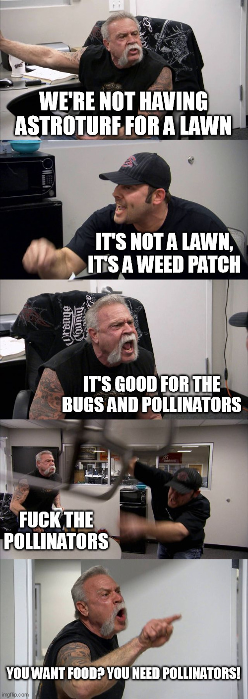 American Chopper Argument Meme | WE'RE NOT HAVING ASTROTURF FOR A LAWN; IT'S NOT A LAWN, IT'S A WEED PATCH; IT'S GOOD FOR THE BUGS AND POLLINATORS; FUCK THE POLLINATORS; YOU WANT FOOD? YOU NEED POLLINATORS! | image tagged in memes,american chopper argument | made w/ Imgflip meme maker