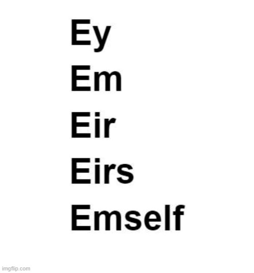 Ey em eir eirs emself | image tagged in pronouns sheet | made w/ Imgflip meme maker