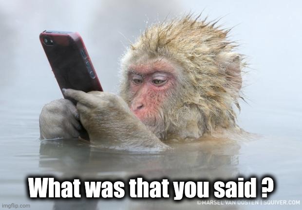 monkey mobile phone | What was that you said ? | image tagged in monkey mobile phone | made w/ Imgflip meme maker