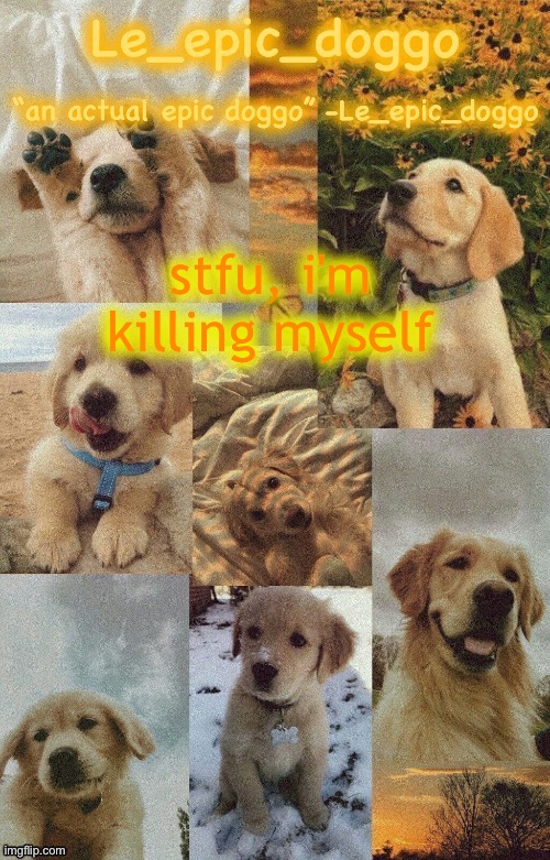Doggo temp by doggo. Wait what that’s confusing | stfu, i'm killing myself | image tagged in doggo temp by doggo wait what that s confusing | made w/ Imgflip meme maker