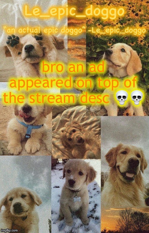 Doggo temp by doggo. Wait what that’s confusing | bro an ad appeared on top of the stream desc 💀💀 | image tagged in doggo temp by doggo wait what that s confusing | made w/ Imgflip meme maker