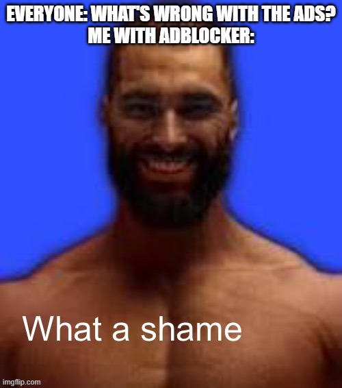 What a shame | EVERYONE: WHAT'S WRONG WITH THE ADS?
ME WITH ADBLOCKER: | image tagged in what a shame | made w/ Imgflip meme maker