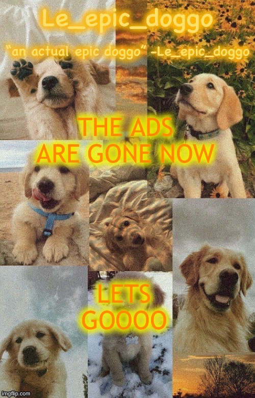 Doggo temp by doggo. Wait what that’s confusing | THE ADS ARE GONE NOW; LETS GOOOO | image tagged in doggo temp by doggo wait what that s confusing | made w/ Imgflip meme maker