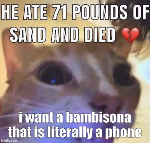 S note: No one cares | i want a bambisona that is literally a phone | image tagged in he ate 71 pounds of sand and died | made w/ Imgflip meme maker