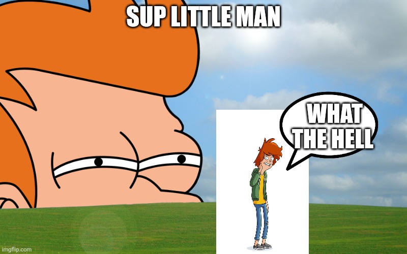 futurama fry | SUP LITTLE MAN; WHAT THE HELL | image tagged in futurama fry | made w/ Imgflip meme maker