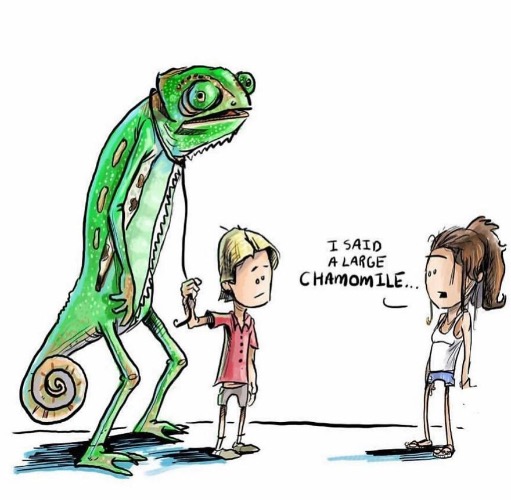 image tagged in funny memes,comics/cartoons,chameleon | made w/ Imgflip meme maker