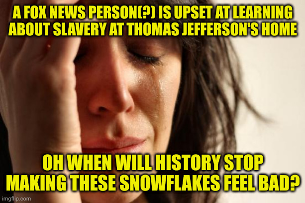 Oh why can't you children of slaves just stop being children of slaves? Think of the poor, yet very rich, white woman's feefees | A FOX NEWS PERSON(?) IS UPSET AT LEARNING ABOUT SLAVERY AT THOMAS JEFFERSON'S HOME; OH WHEN WILL HISTORY STOP MAKING THESE SNOWFLAKES FEEL BAD? | image tagged in memes,first world problems | made w/ Imgflip meme maker