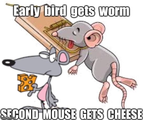 Early bird | Early  bird  gets  worm; SECOND  MOUSE  GETS  CHEESE | image tagged in early bird,worm,second mouse,gets cheese | made w/ Imgflip meme maker