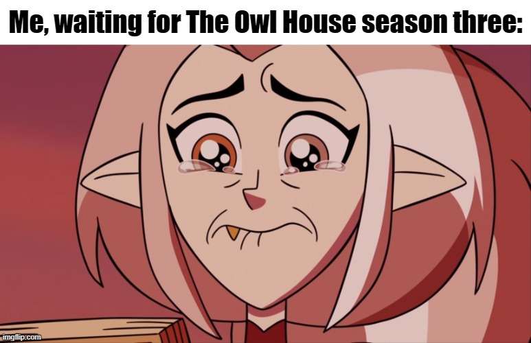 The Pain is Real | Me, waiting for The Owl House season three: | image tagged in the owl house | made w/ Imgflip meme maker