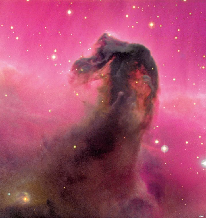 Horsehead nebula Blank Meme Template
