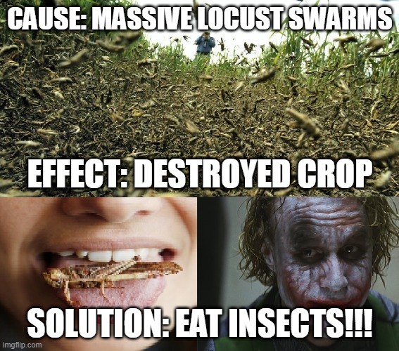 Eat insects | CAUSE: MASSIVE LOCUST SWARMS; EFFECT: DESTROYED CROP; SOLUTION: EAT INSECTS!!! | image tagged in locust,joker | made w/ Imgflip meme maker
