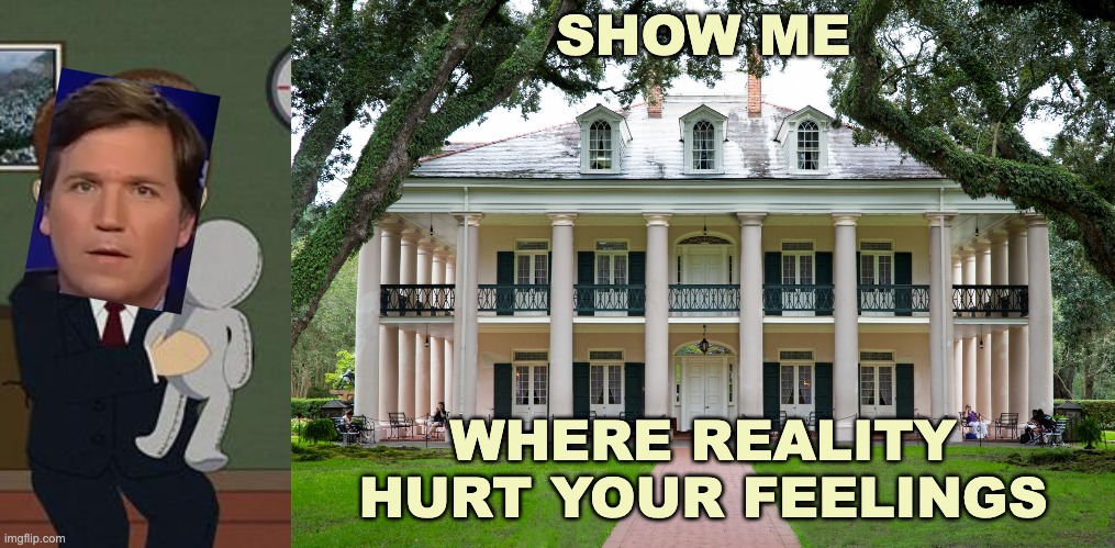 SHOW ME WHERE REALITY
HURT YOUR FEELINGS | image tagged in show me on this doll,plantation | made w/ Imgflip meme maker