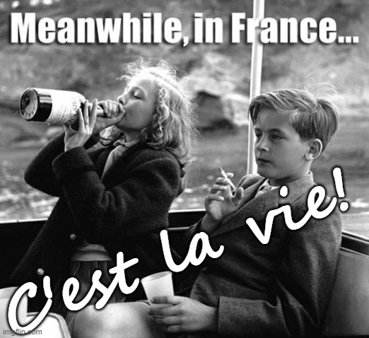 Meanwhile in France - C'est La Vie! | C'est la vie! | image tagged in meanwhile in france kids drinking smoking,life,humor,funny memes,kids,ah i see you are a man of culture as well | made w/ Imgflip meme maker