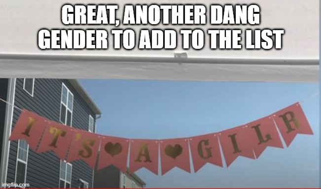 Birthday | GREAT, ANOTHER DANG GENDER TO ADD TO THE LIST | image tagged in you had one job | made w/ Imgflip meme maker