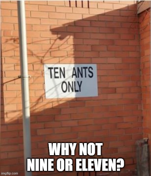 If You Lived Here...You'd Feel Stupid | WHY NOT NINE OR ELEVEN? | image tagged in you had one job | made w/ Imgflip meme maker