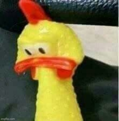 Sad chicken | image tagged in sad chicken | made w/ Imgflip meme maker
