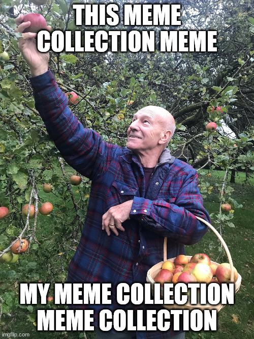 Meme collection meme collection meme | THIS MEME COLLECTION MEME; MY MEME COLLECTION MEME COLLECTION | image tagged in memes | made w/ Imgflip meme maker