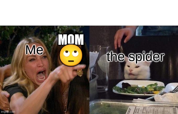 Mom:Its not gonna hurt you The Spider: | MOM; 🙄; Me; the spider | image tagged in memes,woman yelling at cat | made w/ Imgflip meme maker