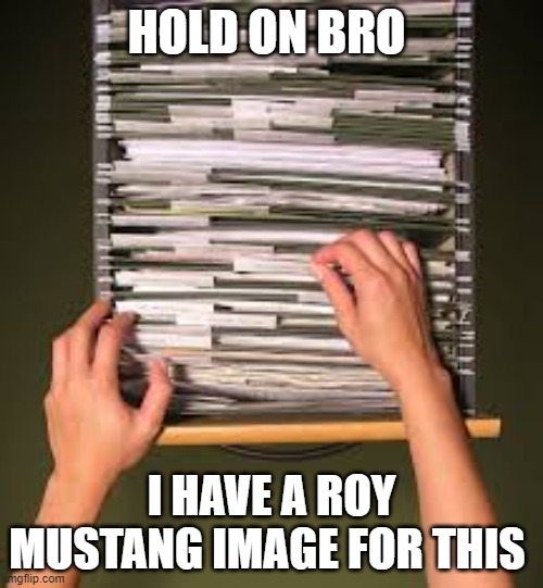 I fr have a Mustang image for everything | HOLD ON BRO; I HAVE A ROY MUSTANG IMAGE FOR THIS | image tagged in filing cabinet | made w/ Imgflip meme maker
