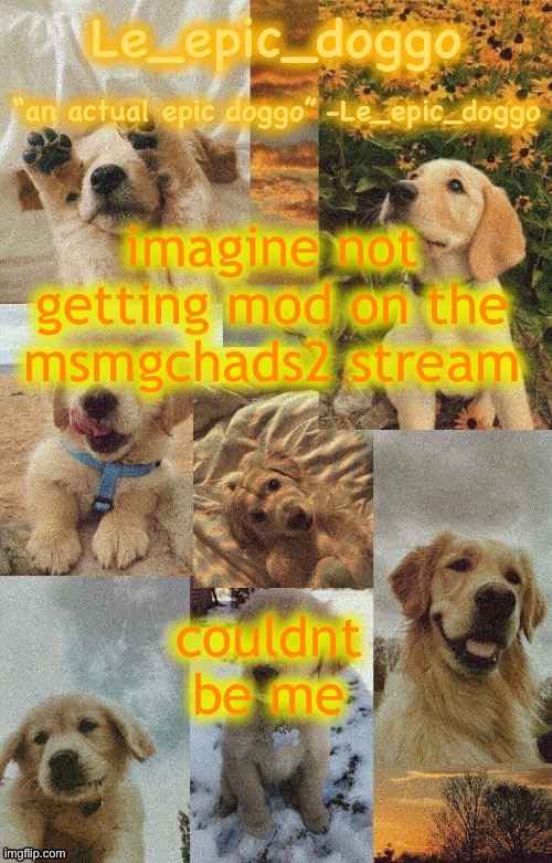 Doggo temp by doggo. Wait what that’s confusing | imagine not getting mod on the msmgchads2 stream; couldnt be me | image tagged in doggo temp by doggo wait what that s confusing | made w/ Imgflip meme maker