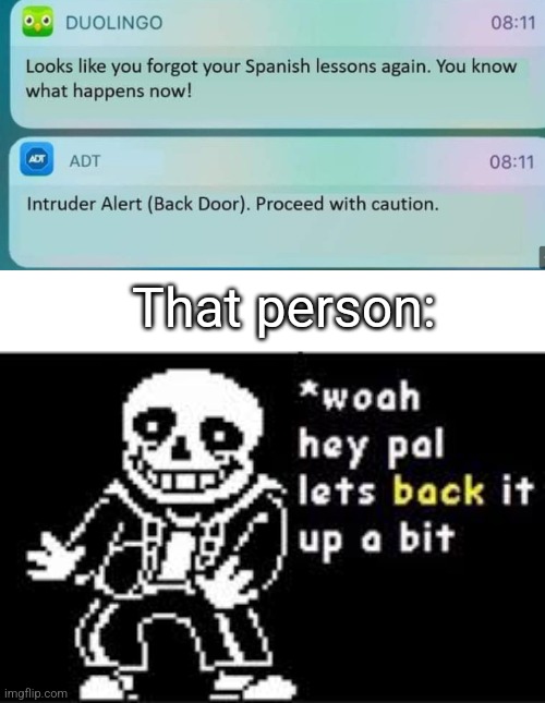 woah hey pal lets back it up a bit | That person: | image tagged in woah hey pal lets back it up a bit | made w/ Imgflip meme maker