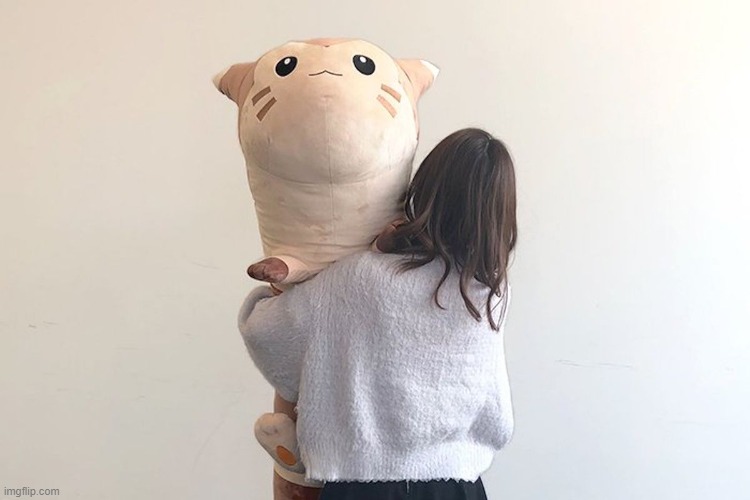 you need a hug | image tagged in furret,plush | made w/ Imgflip meme maker